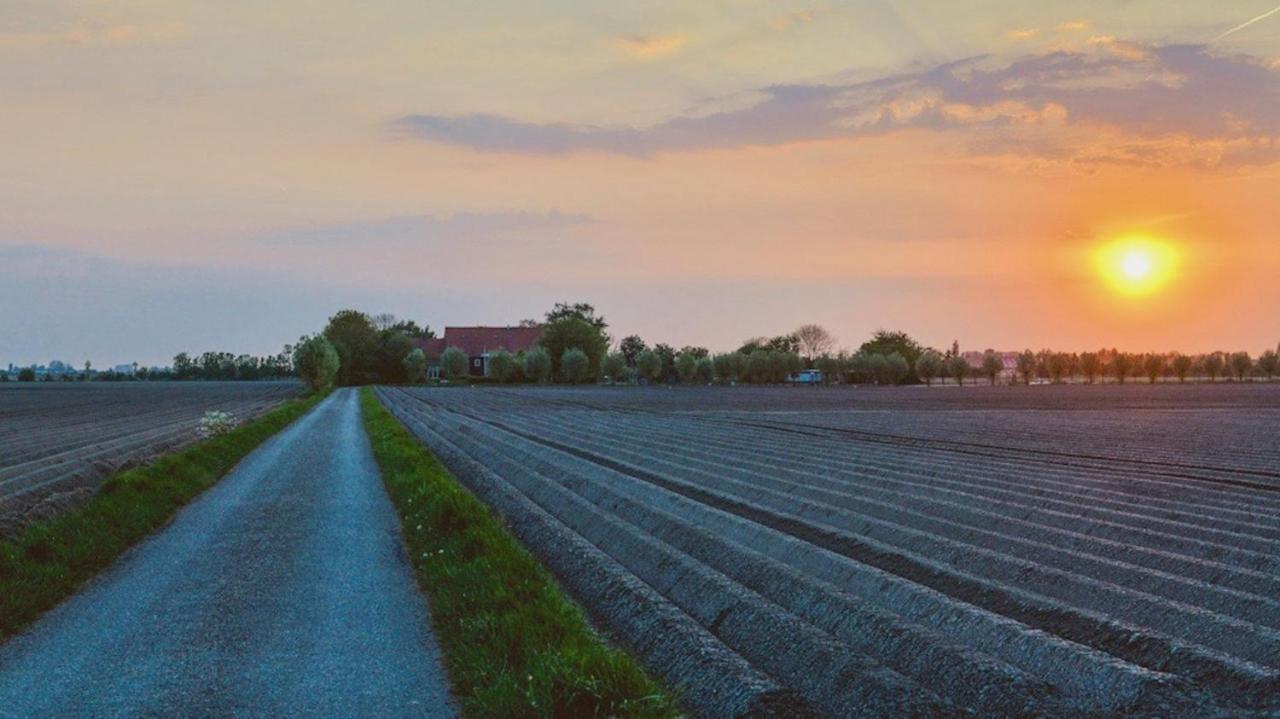 B&B Zicht Op Veere Eksteriør billede